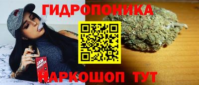 mdpv Славгород