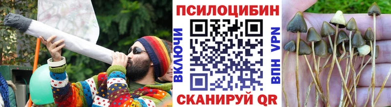 наркотики  Краснокамск  Галлюциногенные грибы Magic Shrooms 