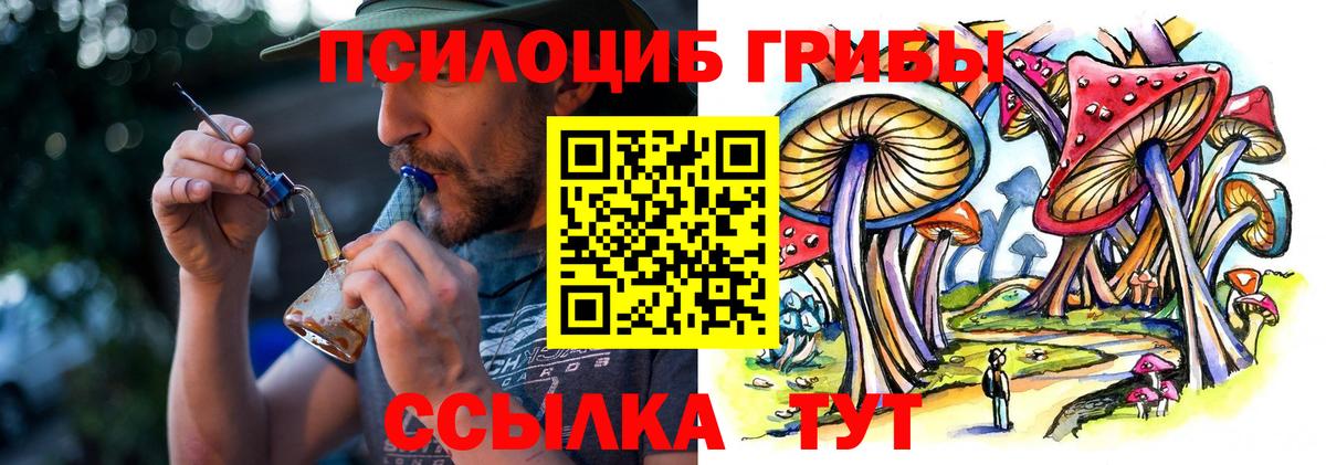 Краснокамск  Псилоцибиновые грибы Psilocybine cubensis  Вход с VPN 